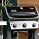 Weber Spirit II E-310